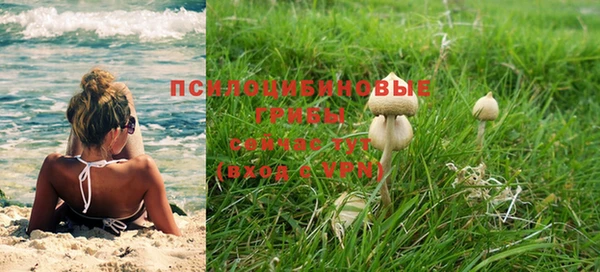 стафф Балахна