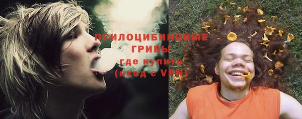 мяу мяу мука Баксан