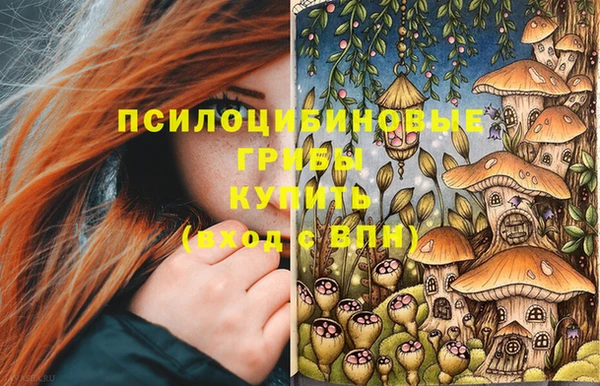 мяу мяу мука Баксан